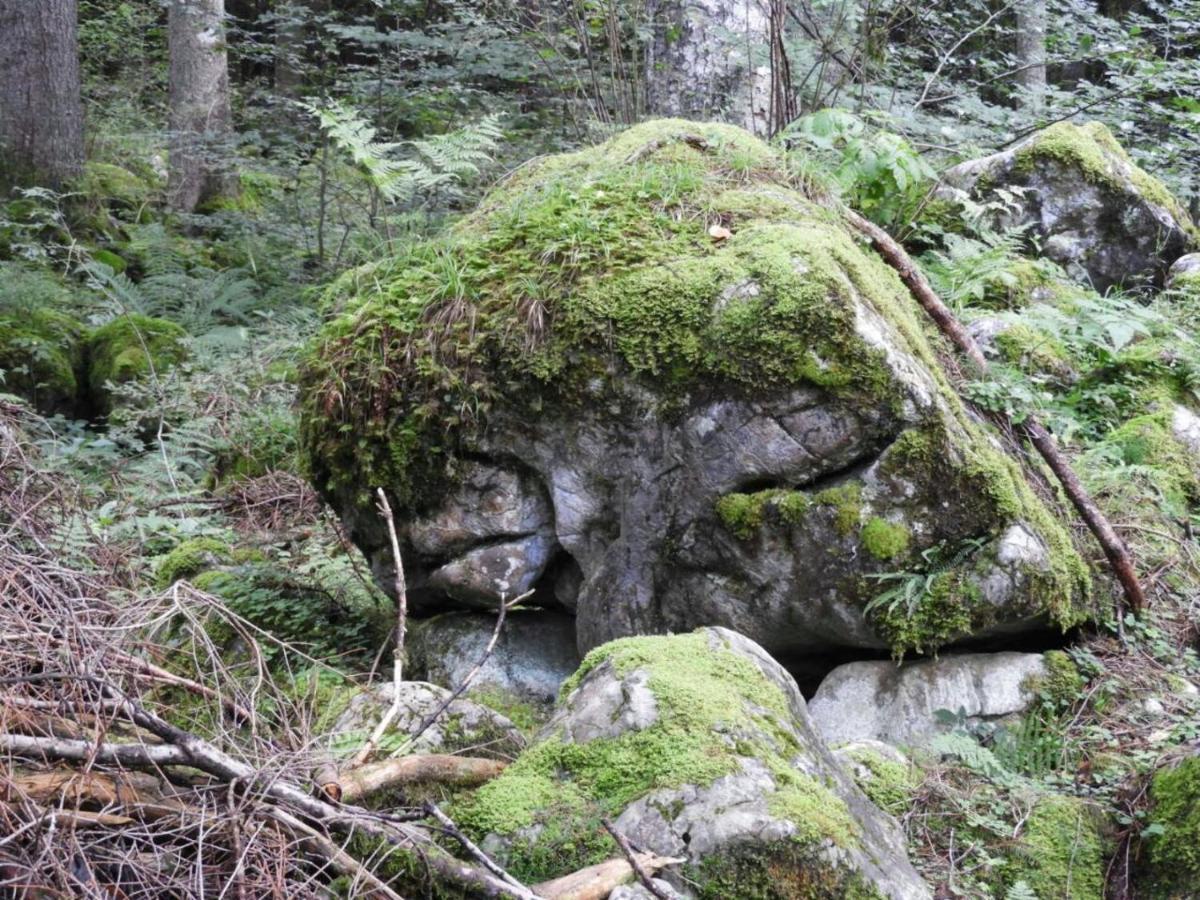 Appartement Kraehenberg Am Rande Der Wildnis à Sibratsgfäll Extérieur photo