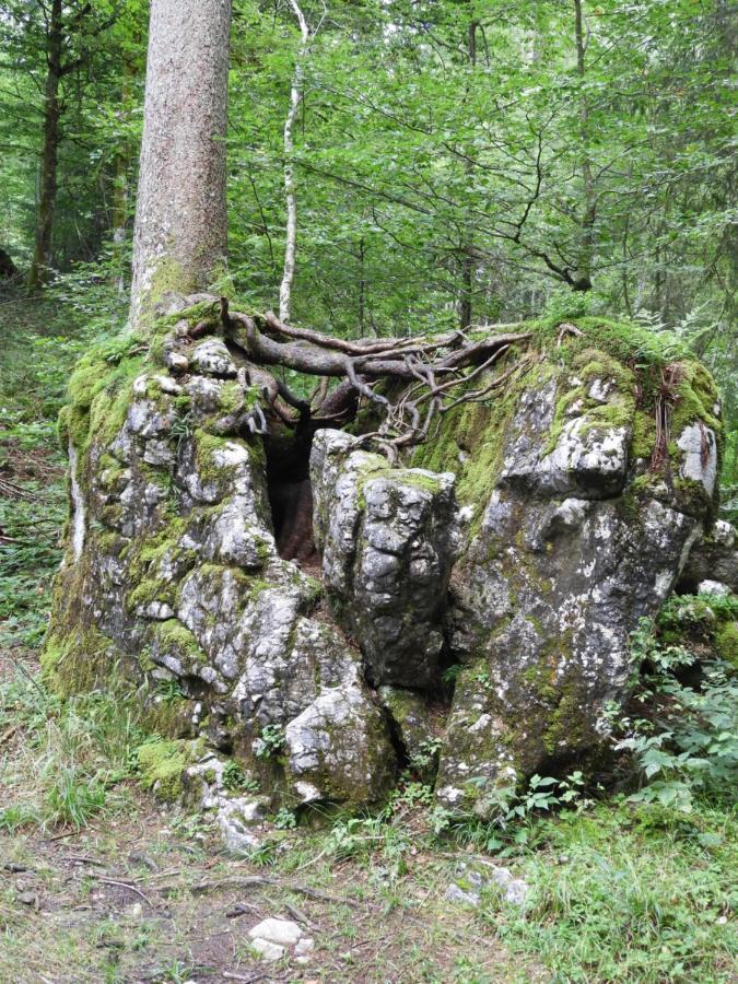 Appartement Kraehenberg Am Rande Der Wildnis à Sibratsgfäll Extérieur photo