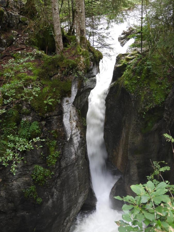 Appartement Kraehenberg Am Rande Der Wildnis à Sibratsgfäll Extérieur photo