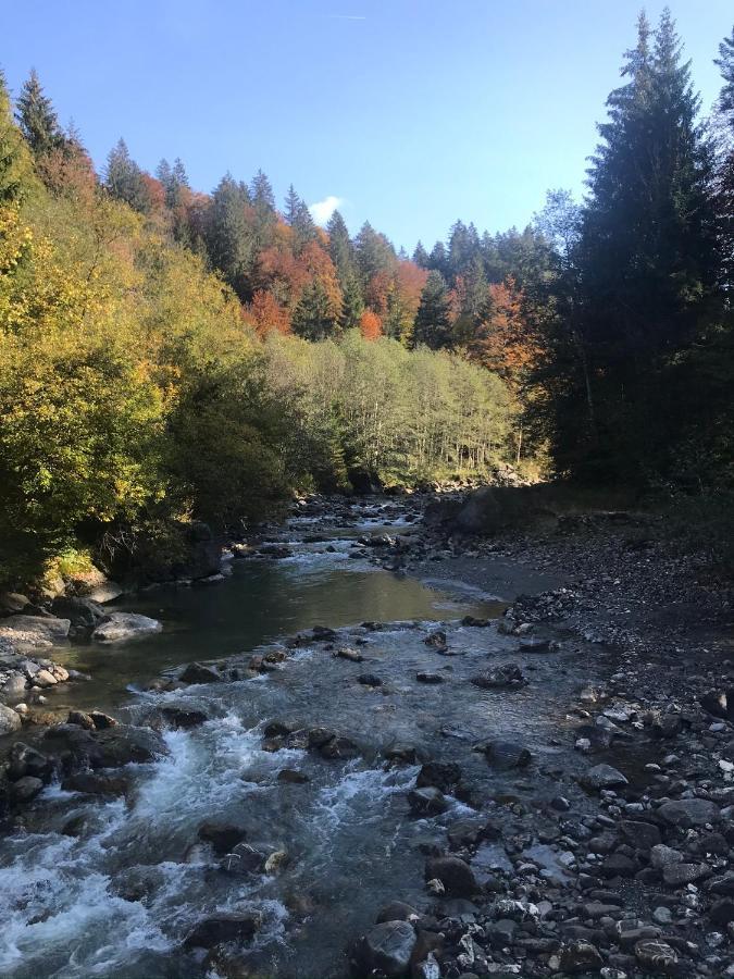 Appartement Kraehenberg Am Rande Der Wildnis à Sibratsgfäll Extérieur photo